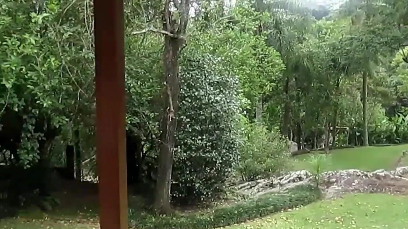 Chácara à venda com 4 quartos, 4000m² - Foto 16