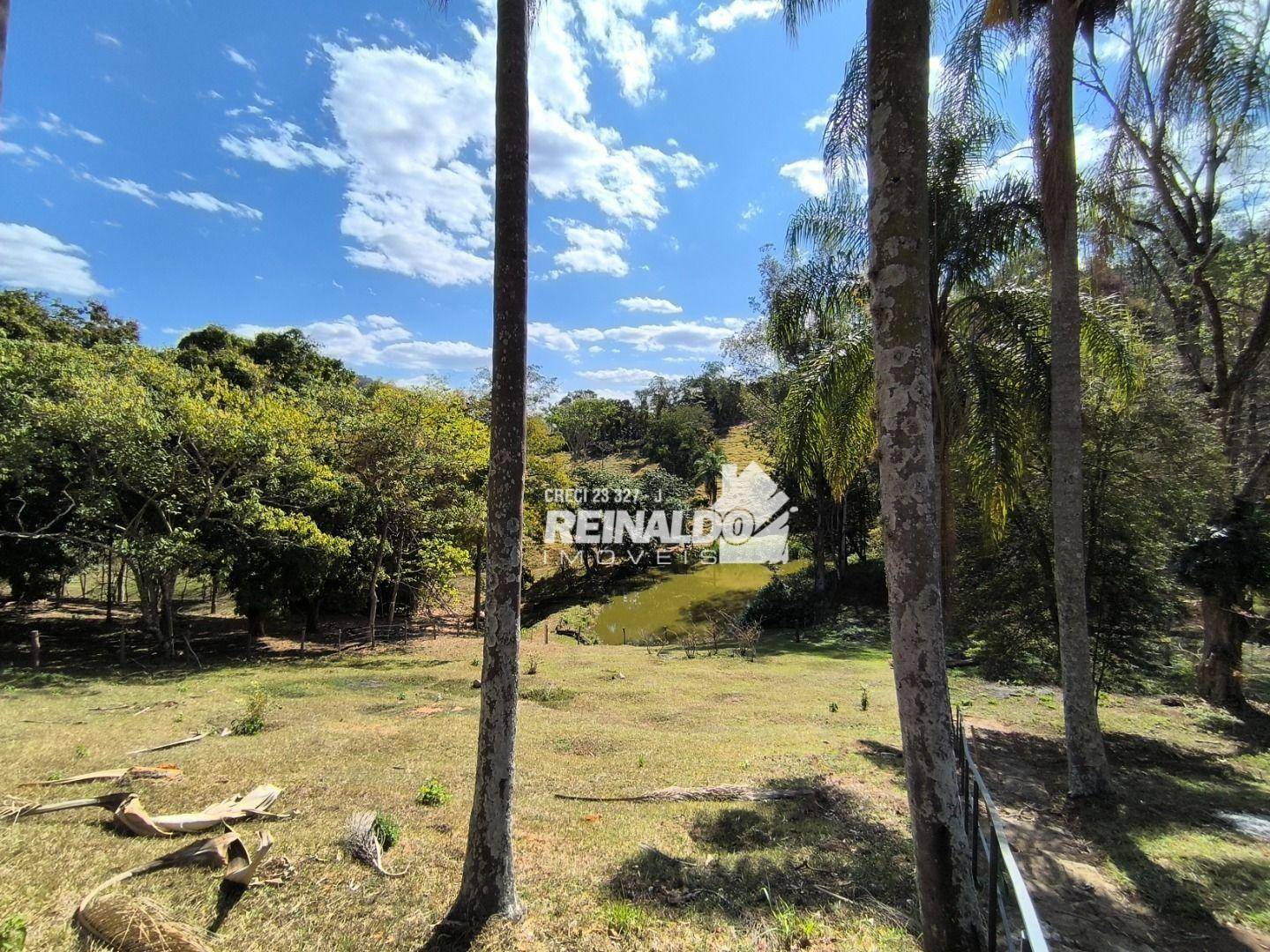 Fazenda à venda com 8 quartos, 2000m² - Foto 120