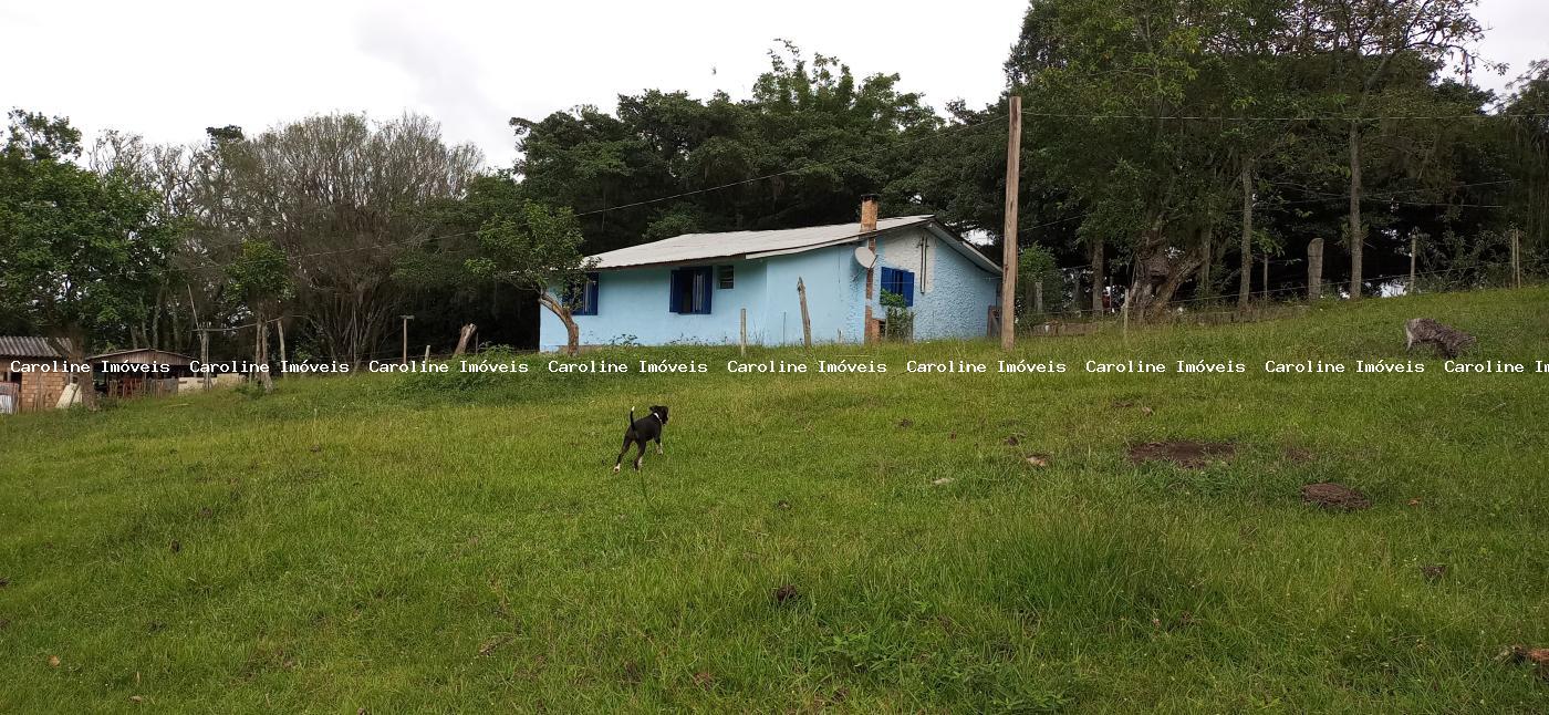 Fazenda à venda com 2 quartos, 220000m² - Foto 13