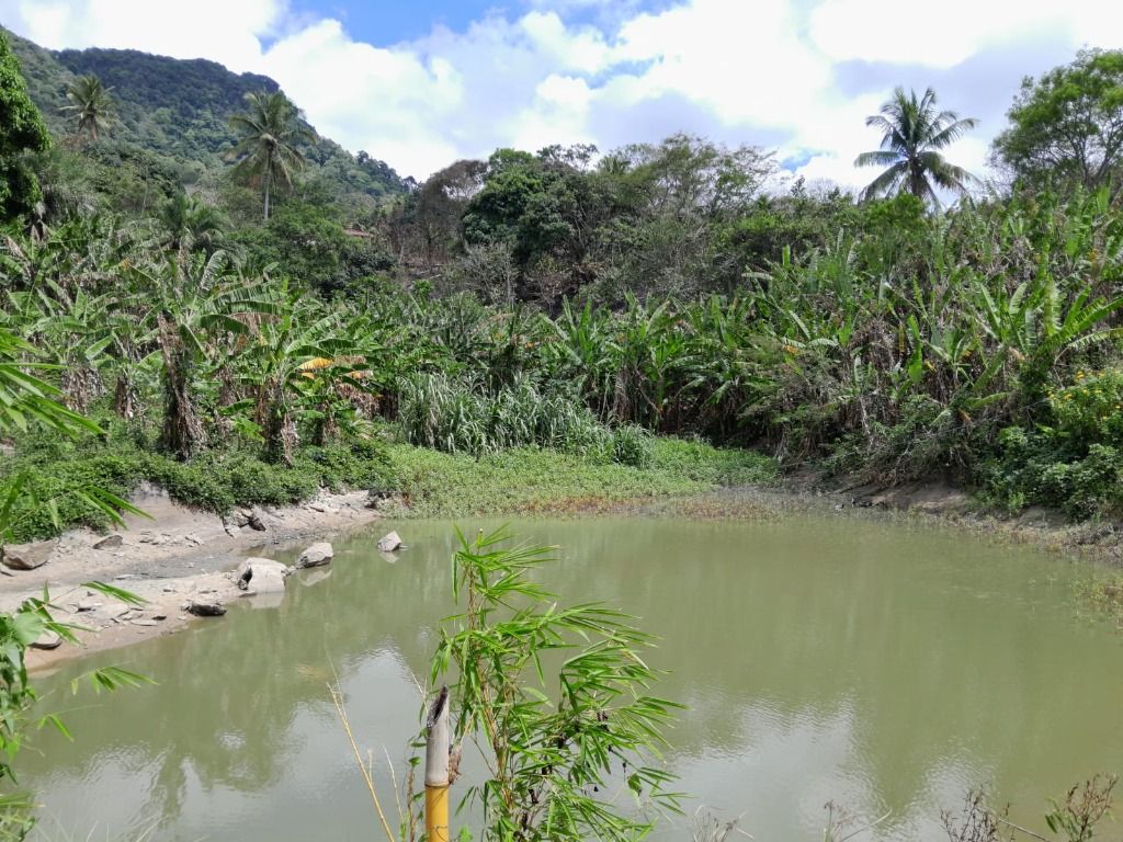 Terreno, 15 hectares - Foto 1