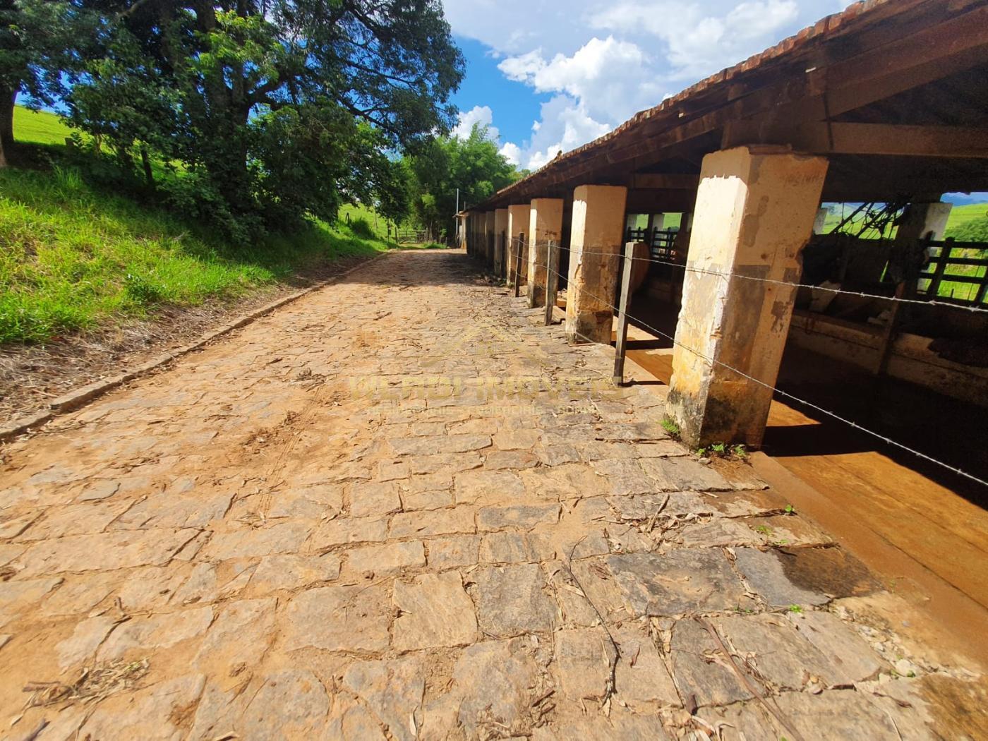 Fazenda à venda, 224m² - Foto 4