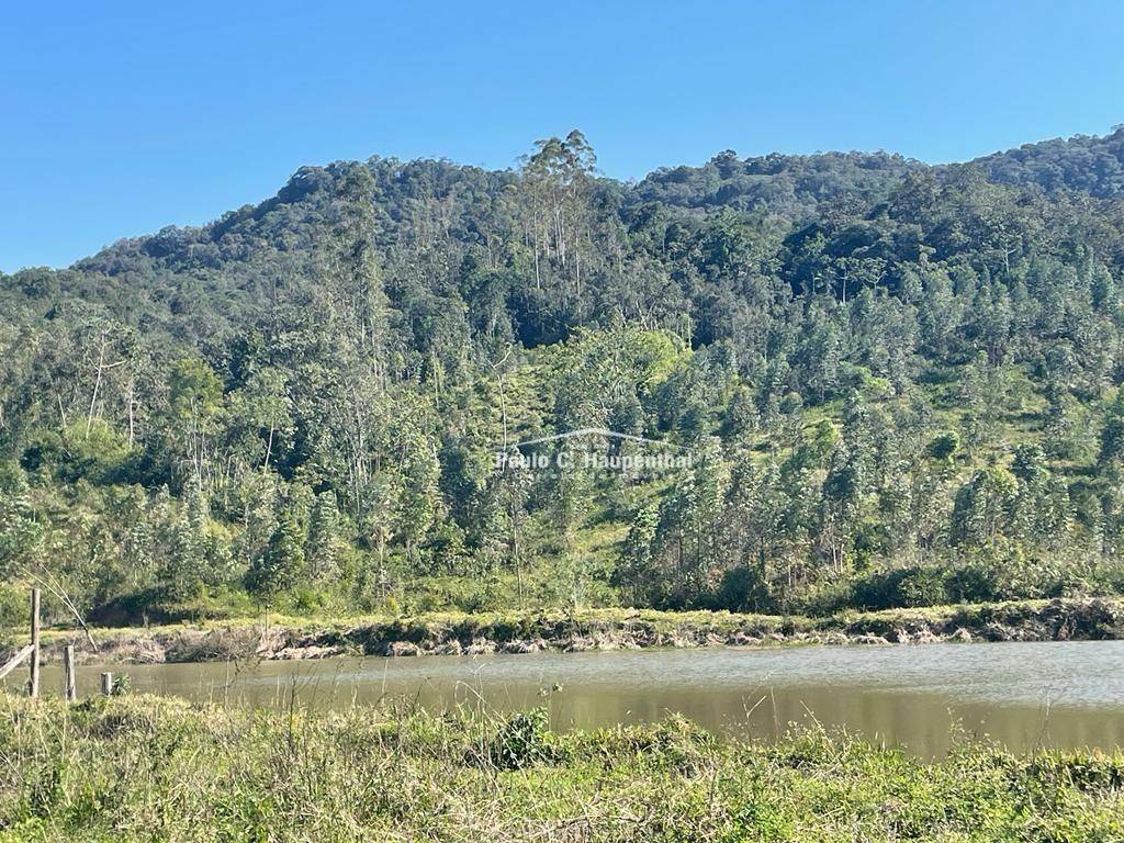 Fazenda à venda com 5 quartos, 320m² - Foto 4