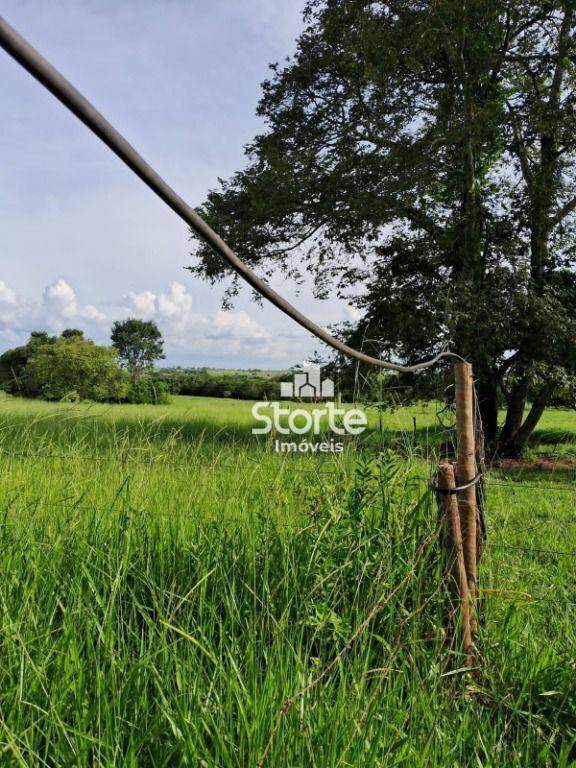 Fazenda à venda, 847000M2 - Foto 4