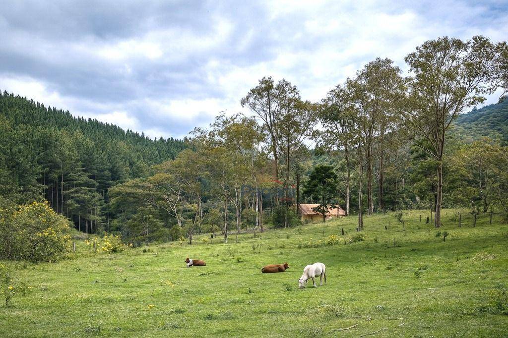 Terreno, 10 hectares - Foto 1