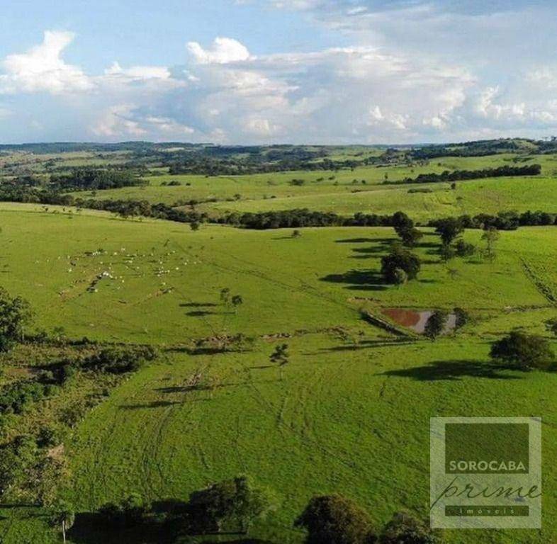 Fazenda à venda, 6050000M2 - Foto 23