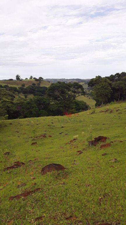 Fazenda à venda, 203M2 - Foto 3