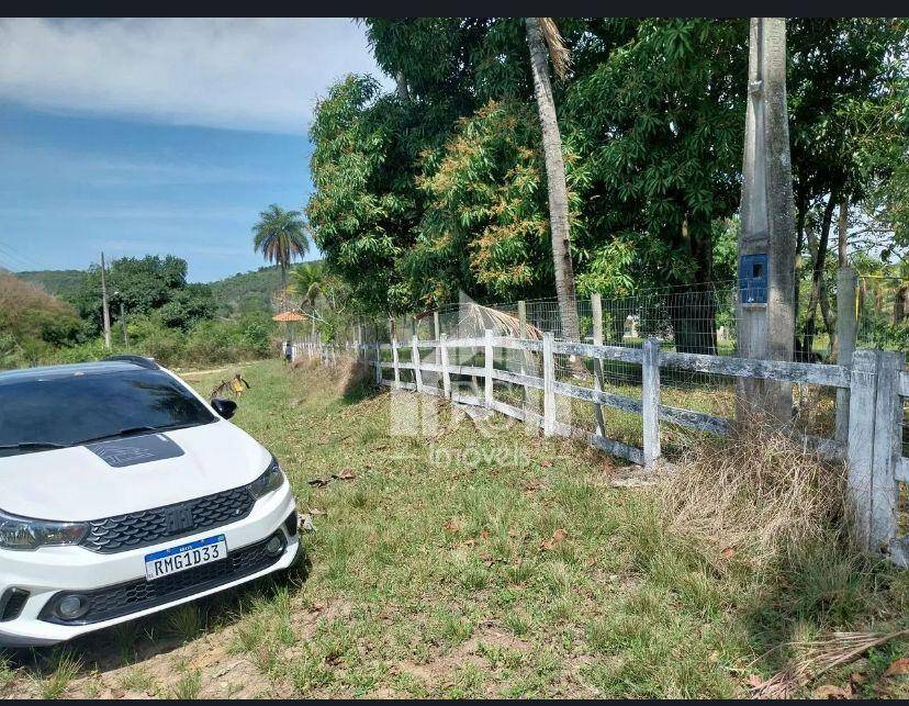 Sítio, 3 quartos, 7500 m² - Foto 2