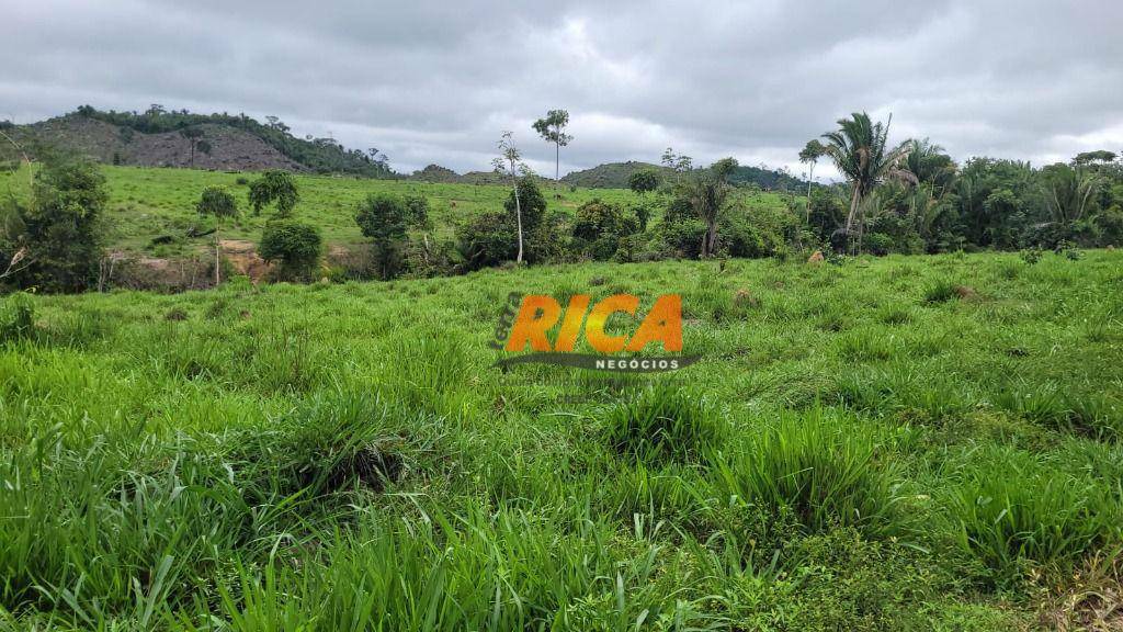 Fazenda à venda com 2 quartos, 4100000M2 - Foto 8