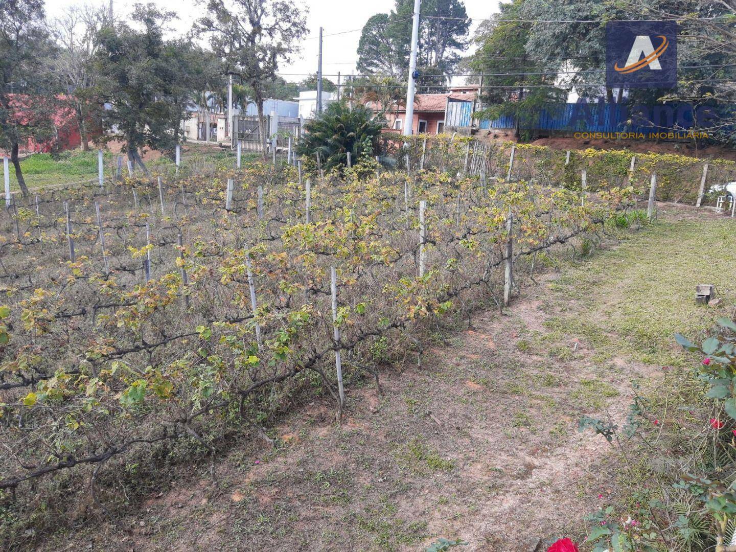 Terreno à venda, 1632M2 - Foto 7