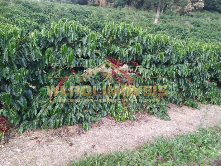 Fazenda-Sítio-Chácara, 137 m² - Foto 5