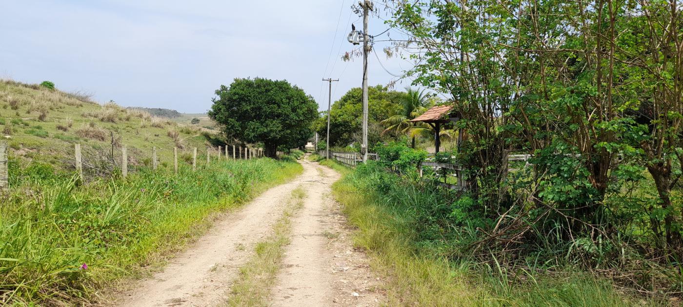 Fazenda à venda com 2 quartos, 20000m² - Foto 17