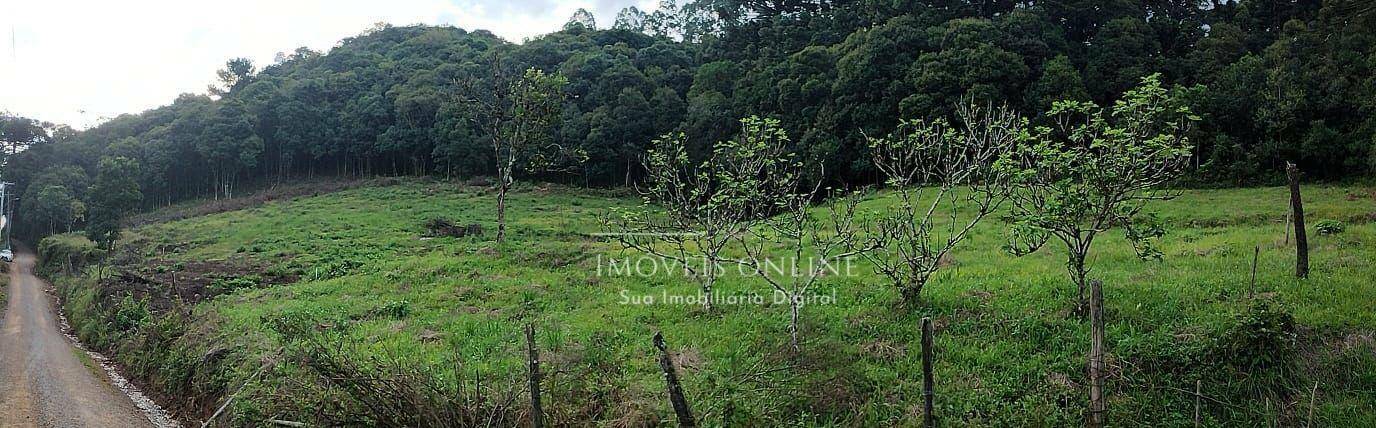 Chácara, 2 hectares - Foto 2