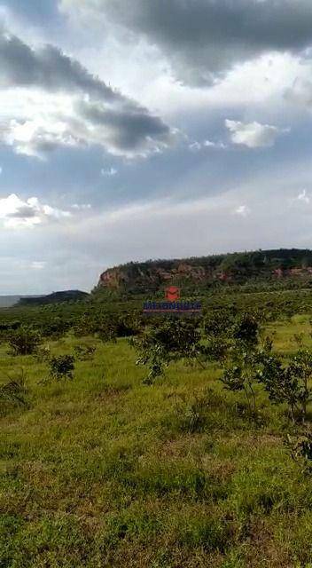 Fazenda à venda com 1 quarto, 17800000M2 - Foto 27