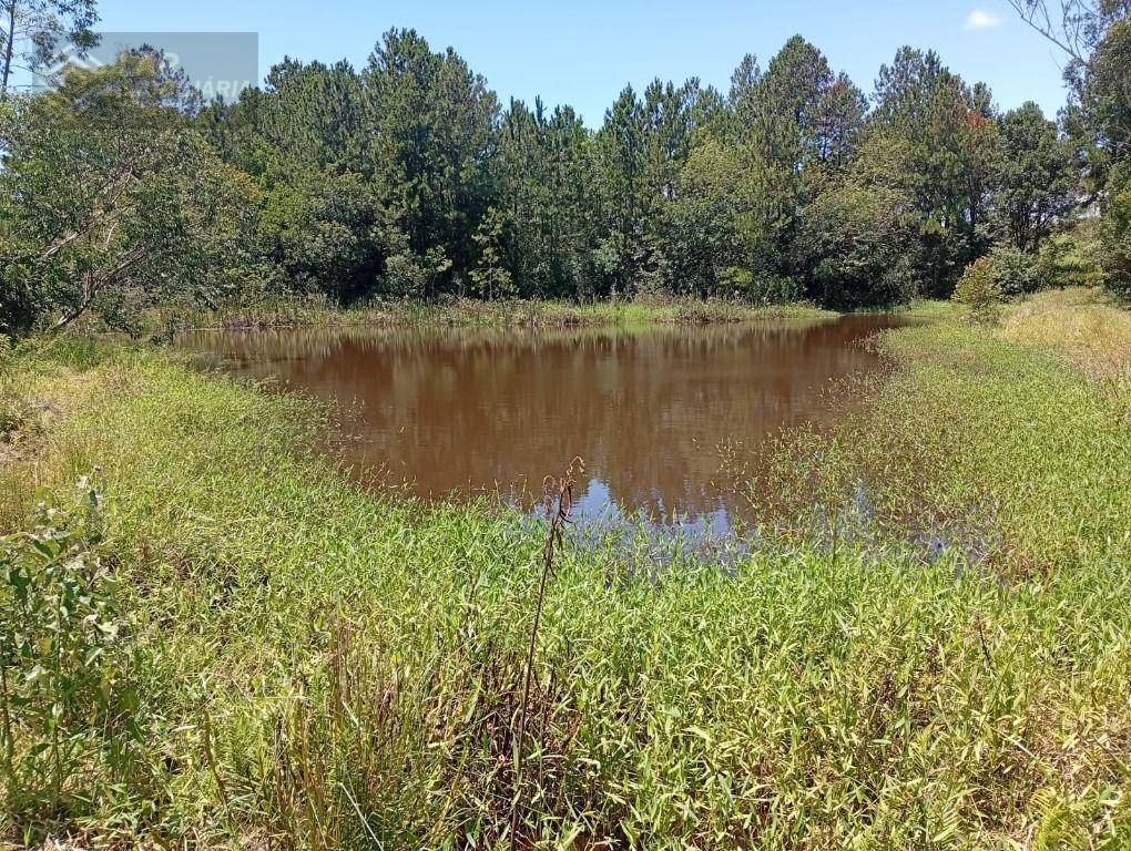 Terreno, 4 hectares - Foto 24