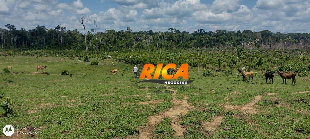 Fazenda à venda com 1 quarto, 5400000M2 - Foto 18