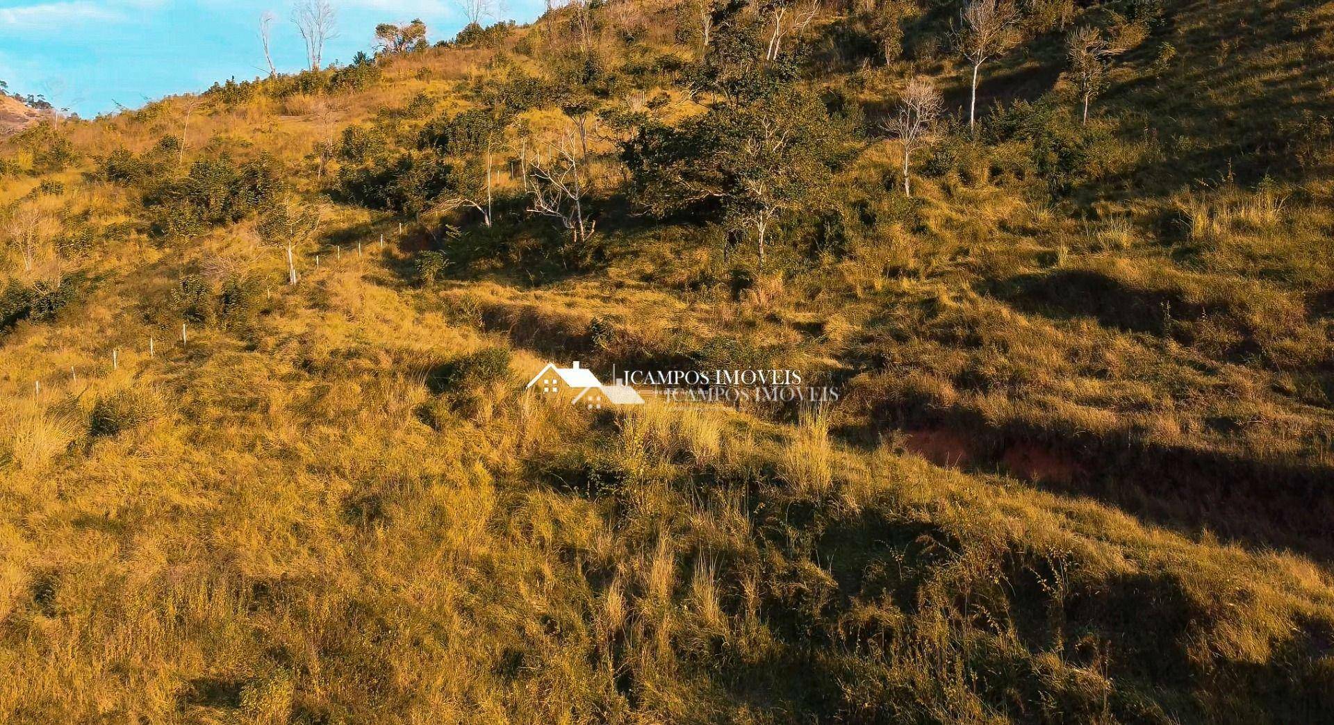 Terreno à venda, 24000M2 - Foto 5