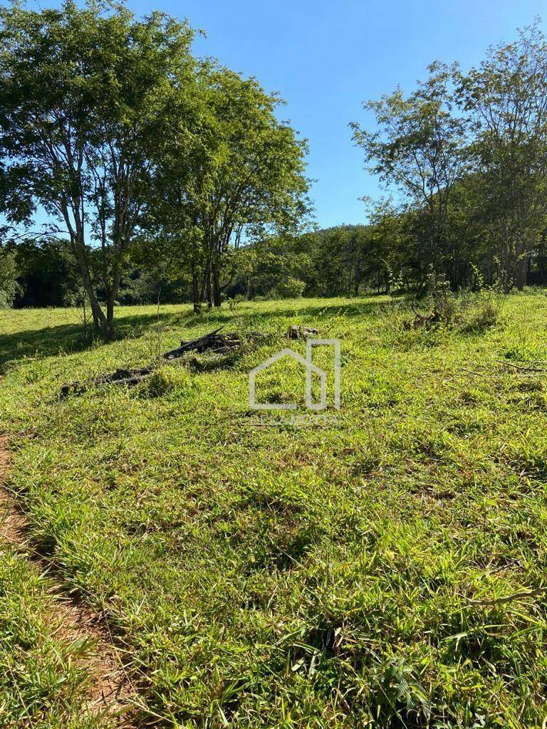 Fazenda à venda com 3 quartos, 21217700000M2 - Foto 10