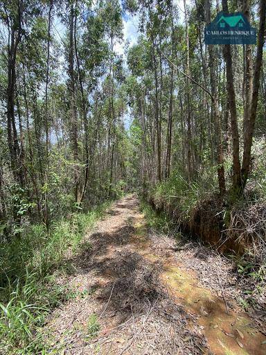 Terreno à venda, 96000M2 - Foto 2