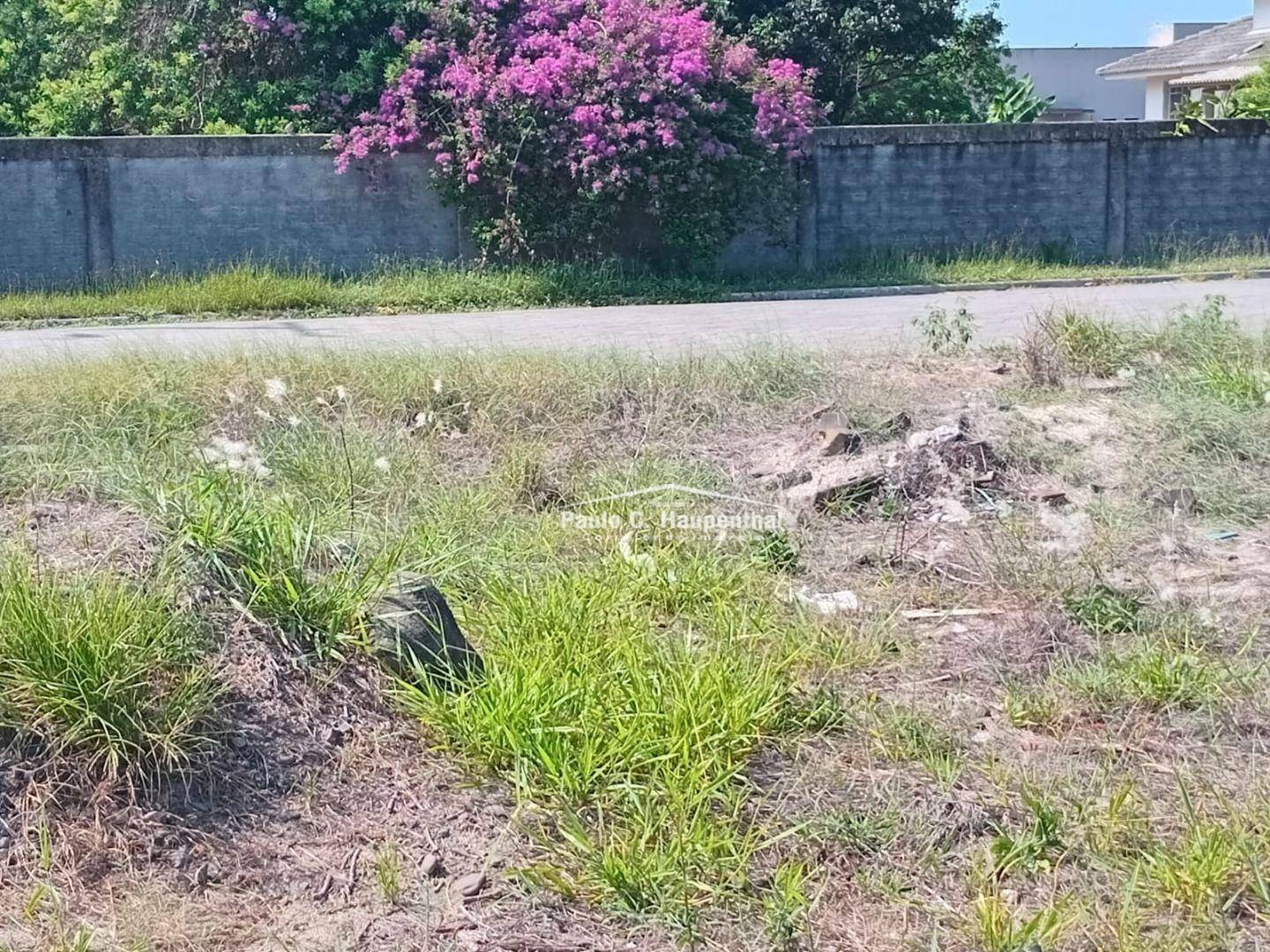 Terreno à venda, 300M2 - Foto 3