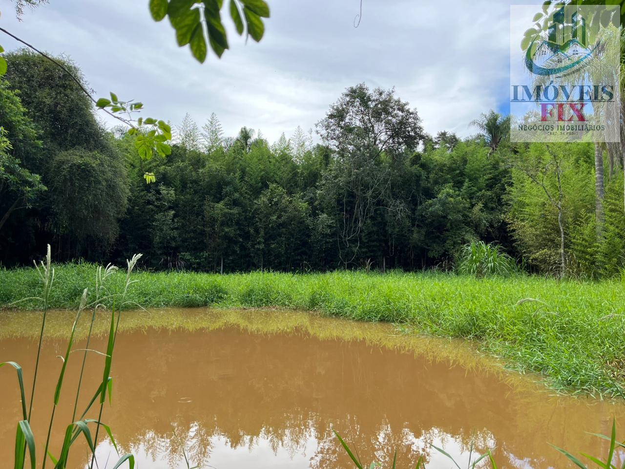 Fazenda à venda com 4 quartos, 200m² - Foto 26