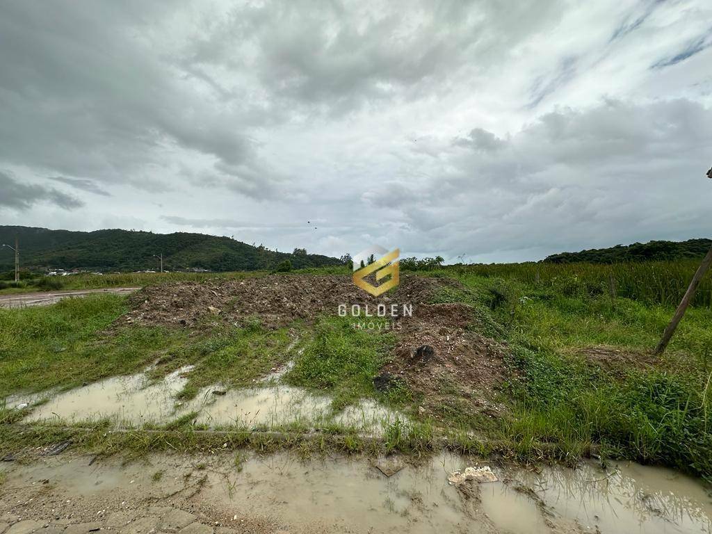 Terreno à venda, 1000M2 - Foto 2