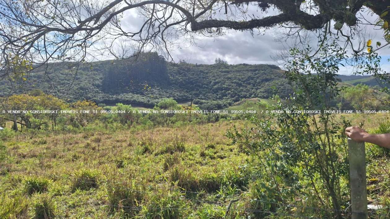 Sítio à venda com 1 quarto, 25000m² - Foto 1