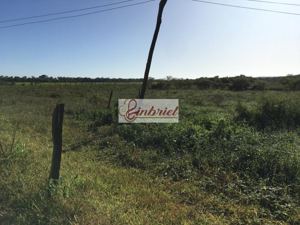 Fazenda à venda, 4600m² - Foto 1