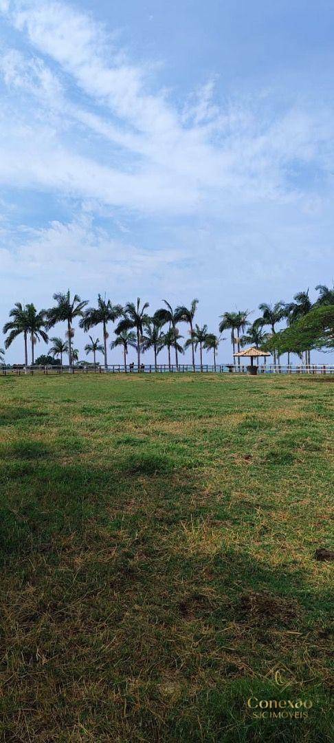 Fazenda-Sítio-Chácara, 136 hectares - Foto 20