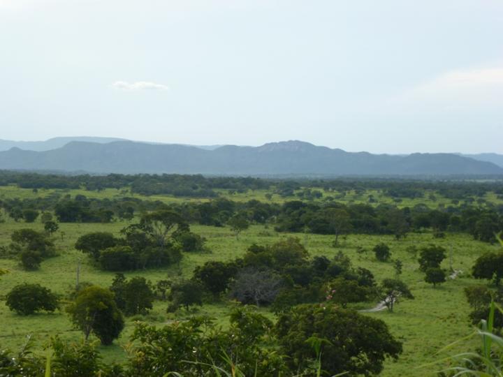 Chácara à venda, 1200m² - Foto 5