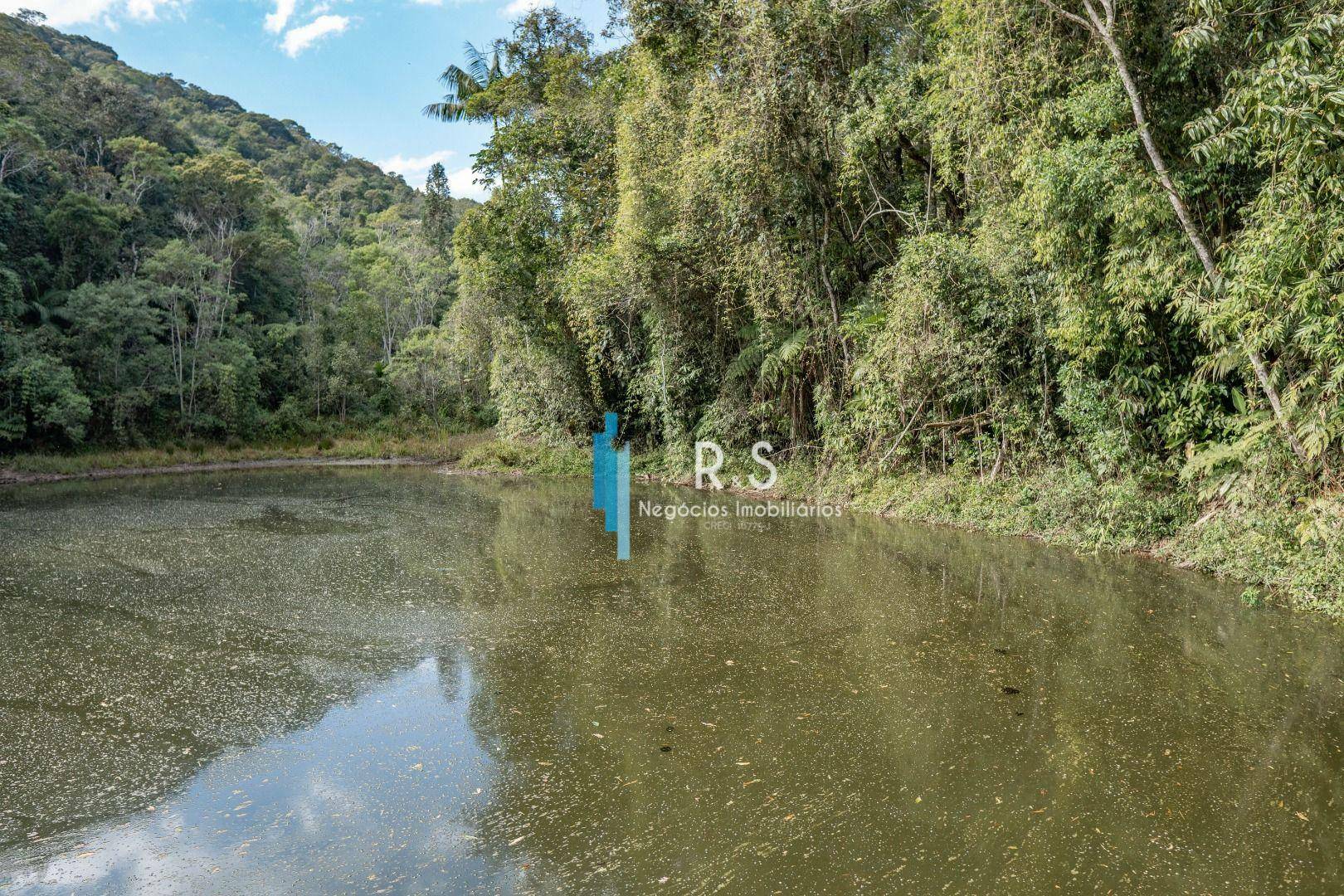 Sítio à venda com 6 quartos, 847000M2 - Foto 45