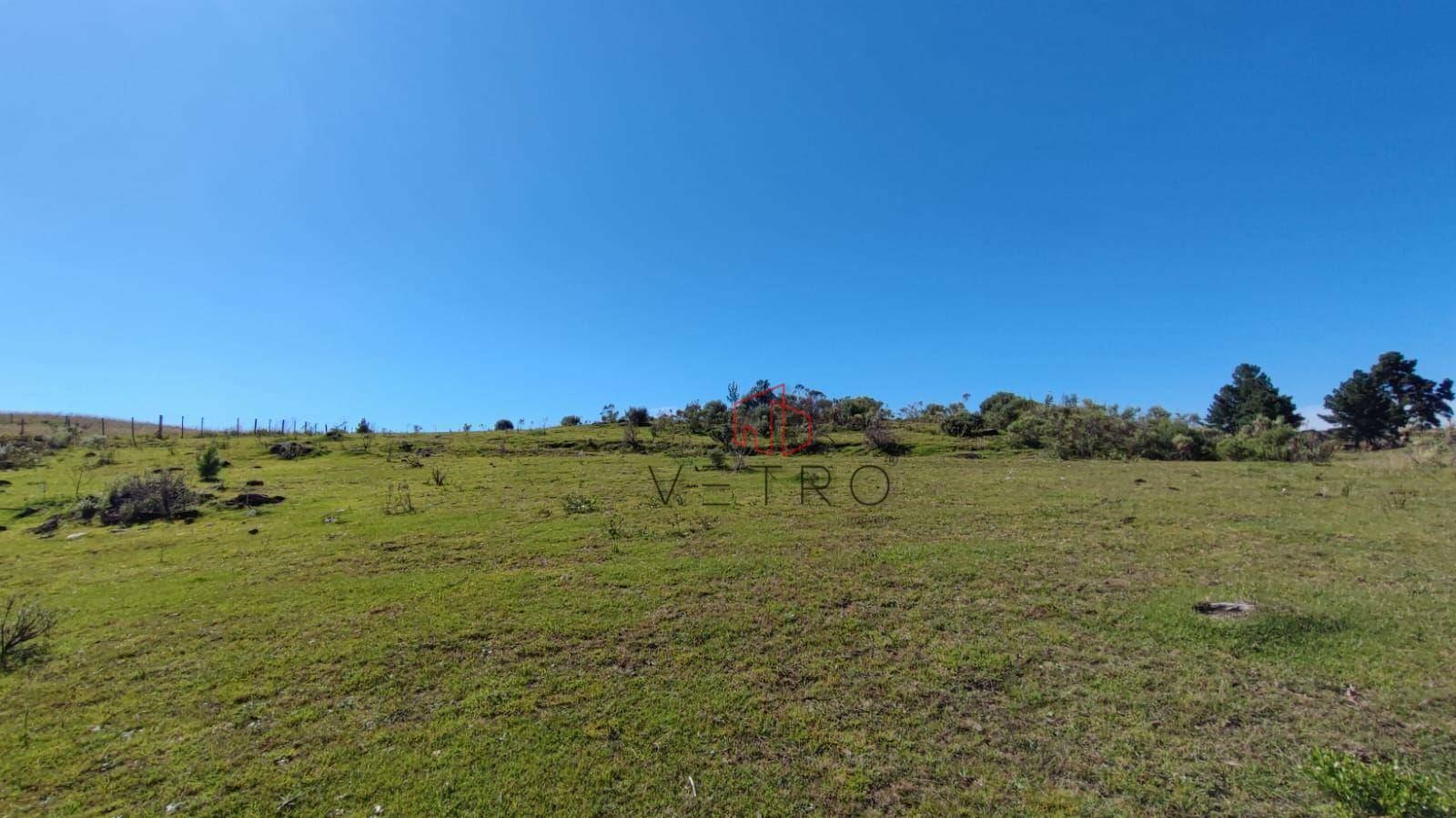 Sítio à venda com 3 quartos, 37000M2 - Foto 17