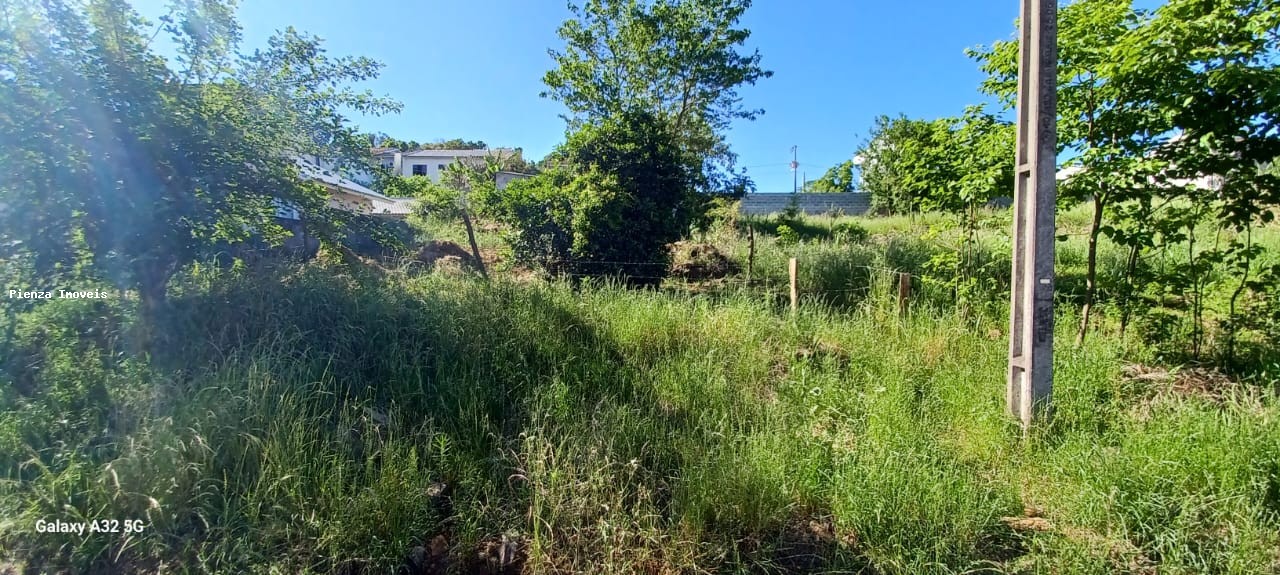 Terreno, 450 m² - Foto 5