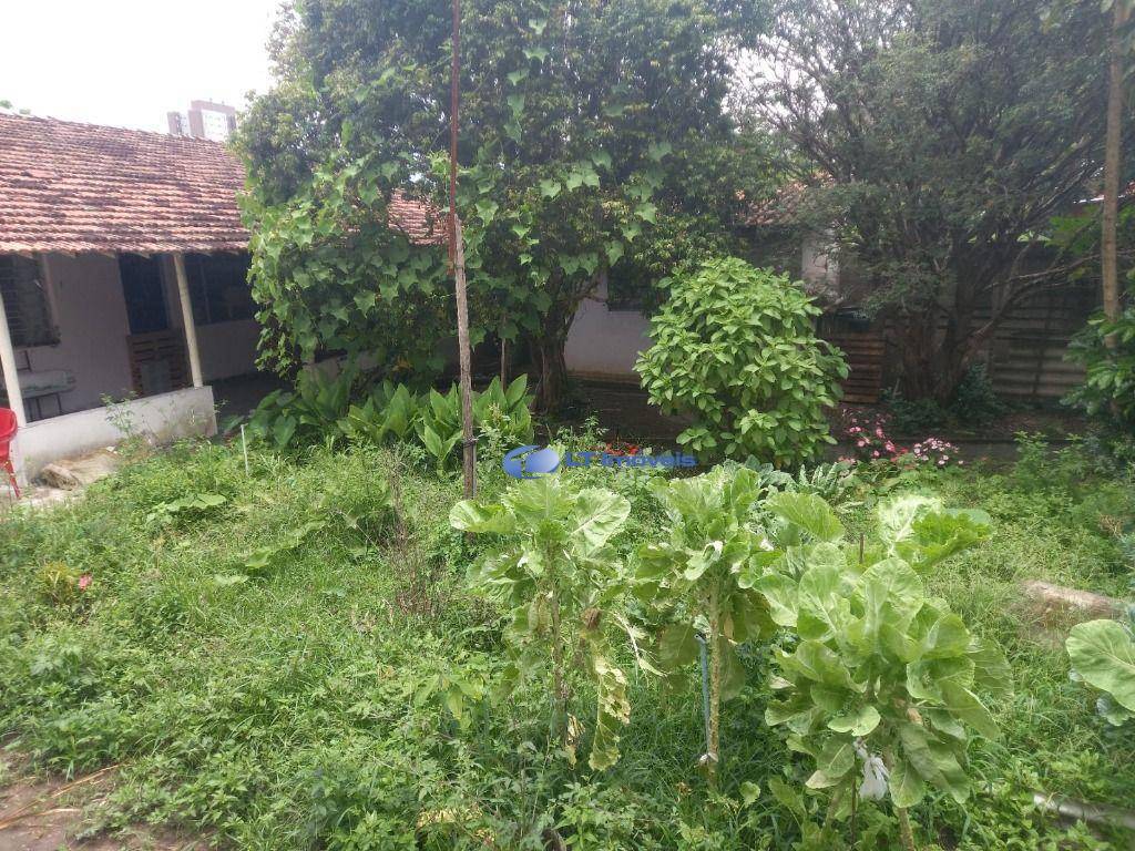 Chácara, 3 quartos, 1066 m² - Foto 3