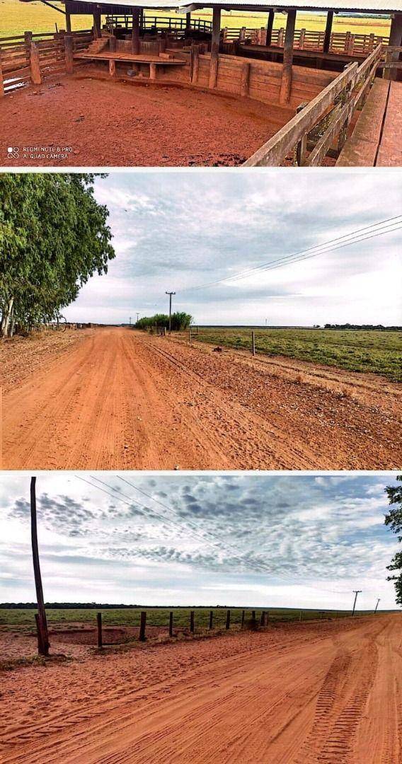 Fazenda-Sítio-Chácara, 10000 hectares - Foto 4