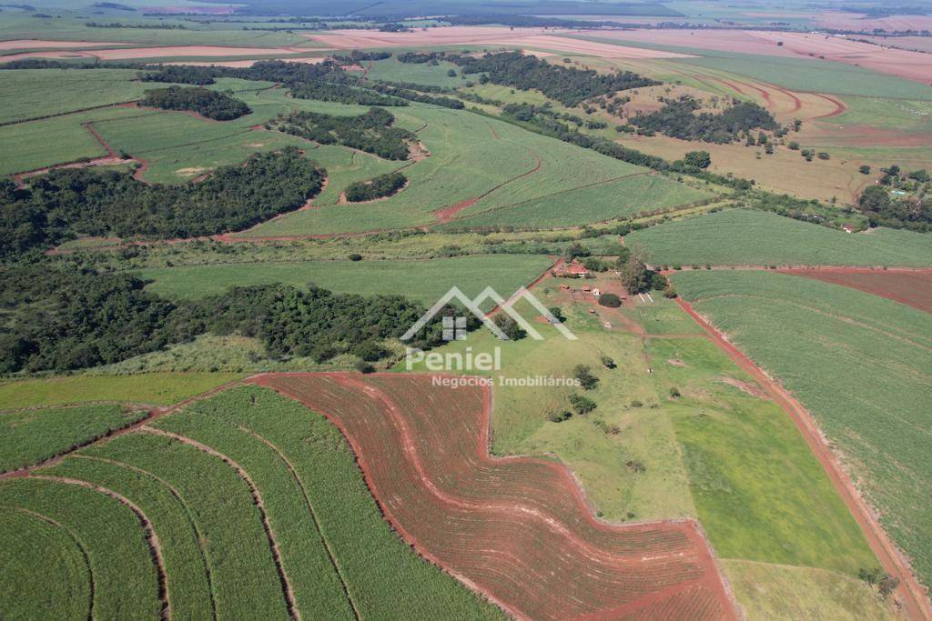 Fazenda-Sítio-Chácara, 213 hectares - Foto 1