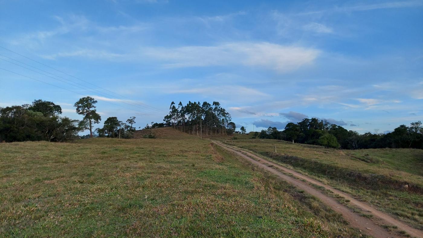 Fazenda à venda com 2 quartos, 862000m² - Foto 26