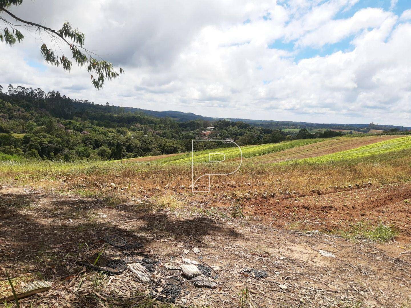 Terreno à venda, 39000M2 - Foto 31