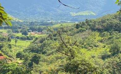 Fazenda à venda com 2 quartos, 50000m² - Foto 6