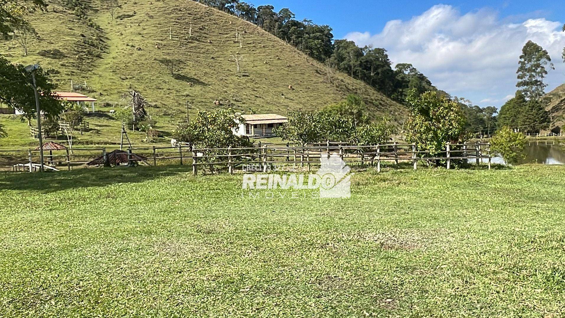 Fazenda à venda com 8 quartos, 900m² - Foto 43