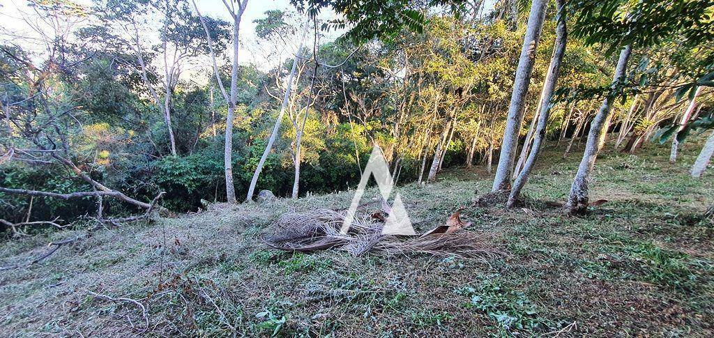 Terreno à venda, 4500M2 - Foto 3