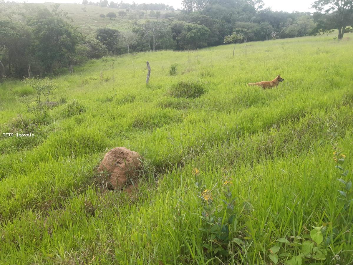 Fazenda à venda com 4 quartos, 36m² - Foto 8