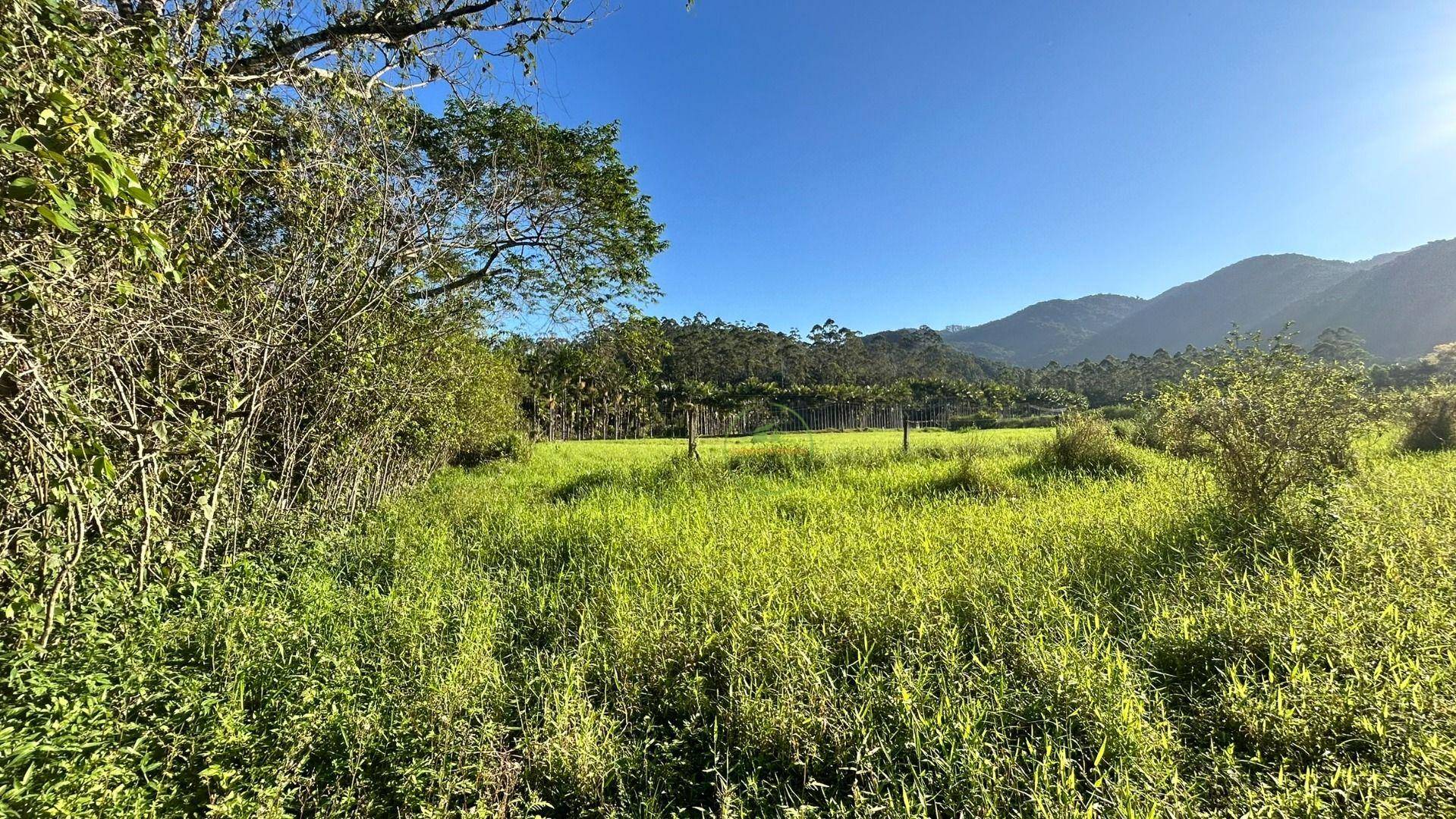 Sítio, 19 hectares - Foto 21