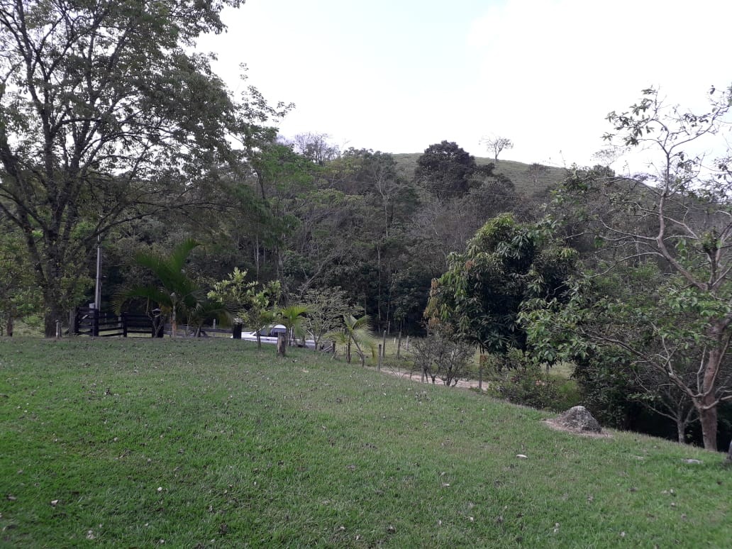 Terreno, 19 hectares - Foto 12