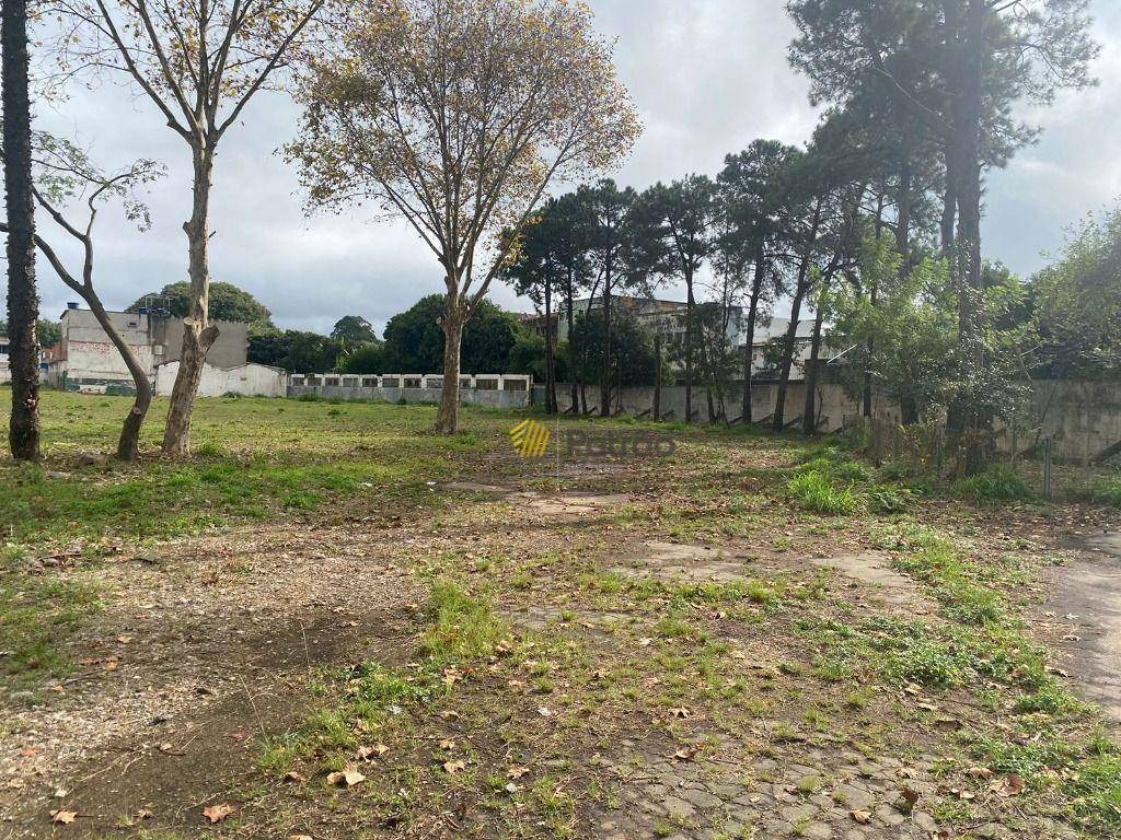 Terreno, 1 hectares - Foto 3