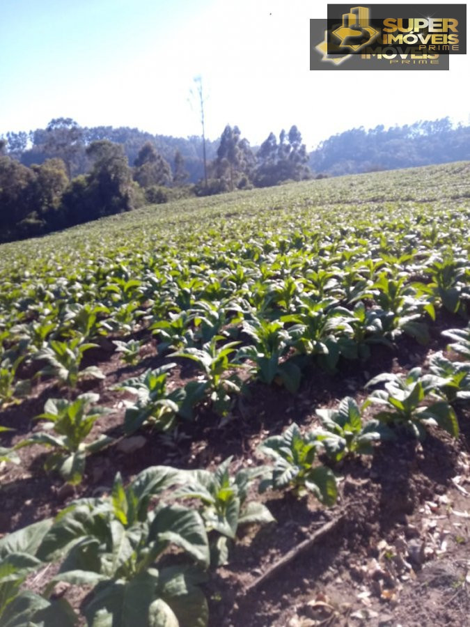 Fazenda à venda com 2 quartos, 450000m² - Foto 15