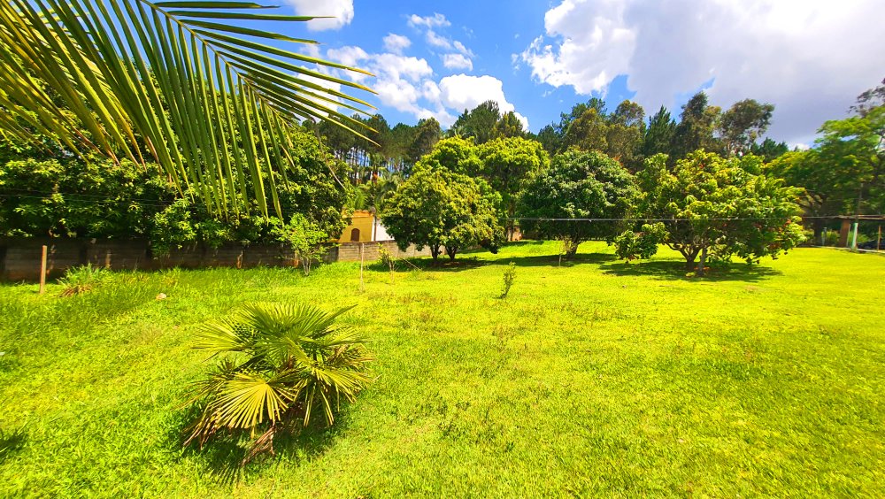 Fazenda à venda com 2 quartos, 3768m² - Foto 14