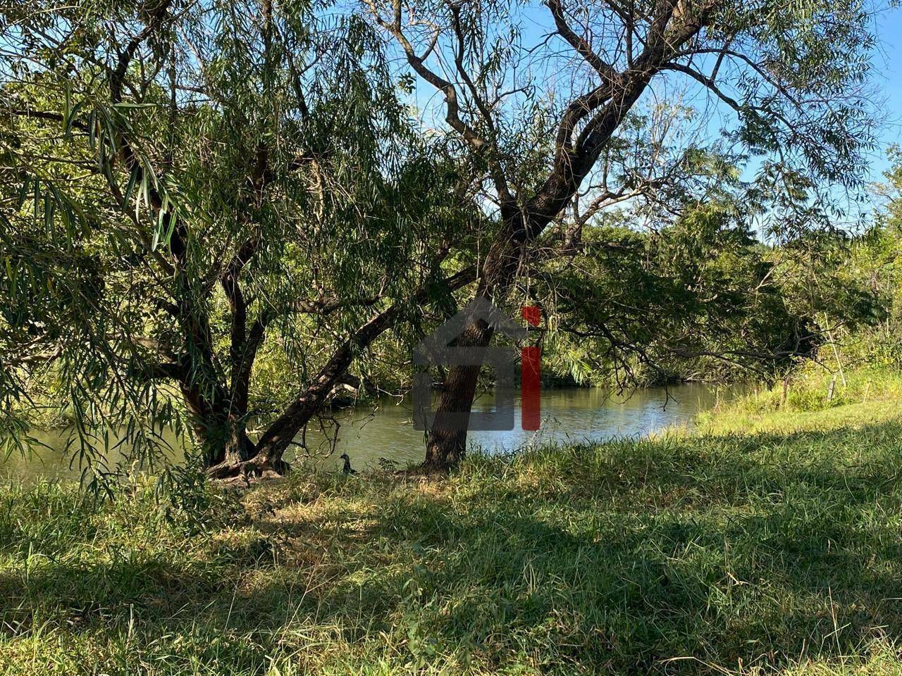 Chácara à venda - Foto 4