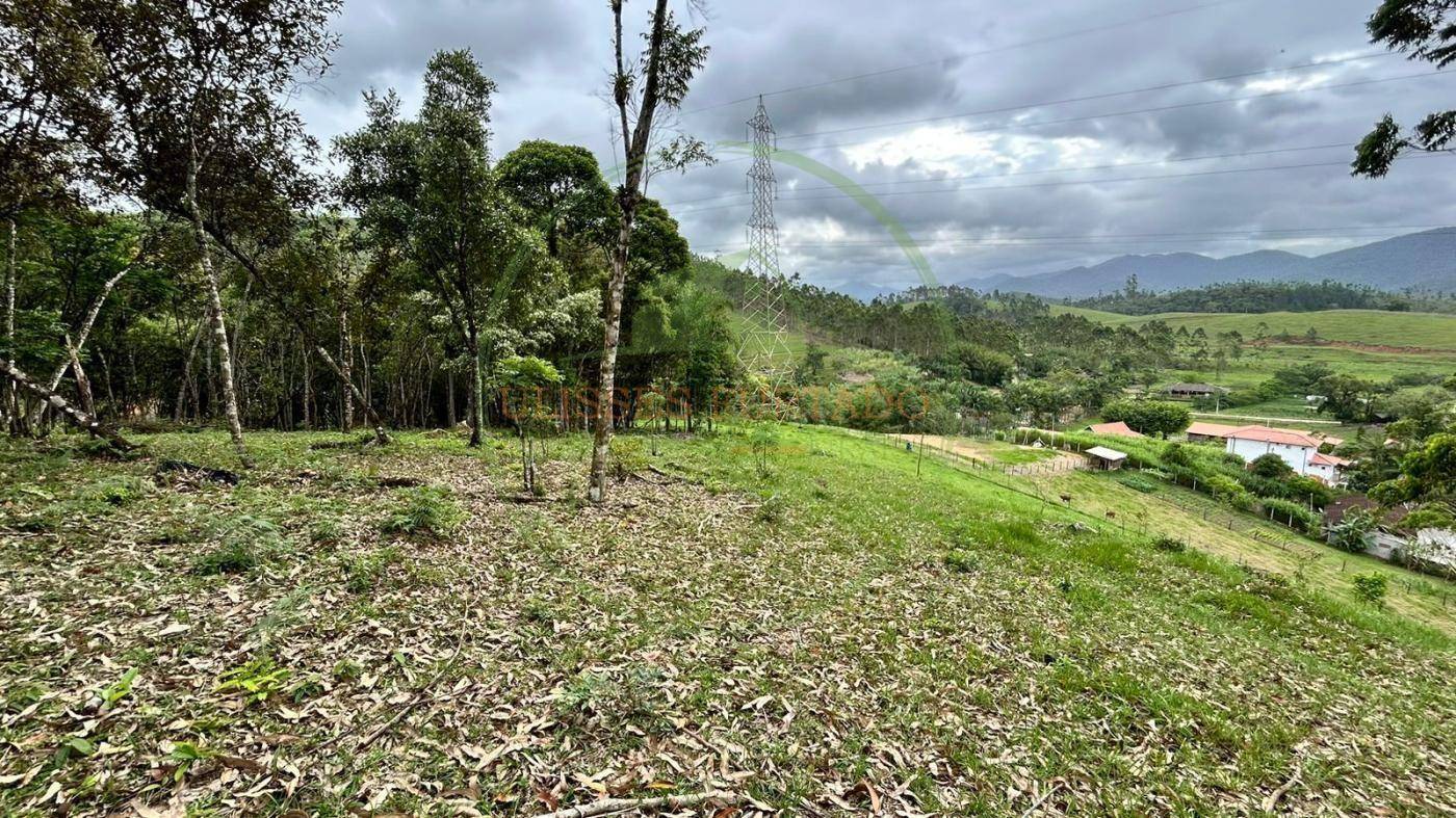 Terreno, 10000 m² - Foto 9