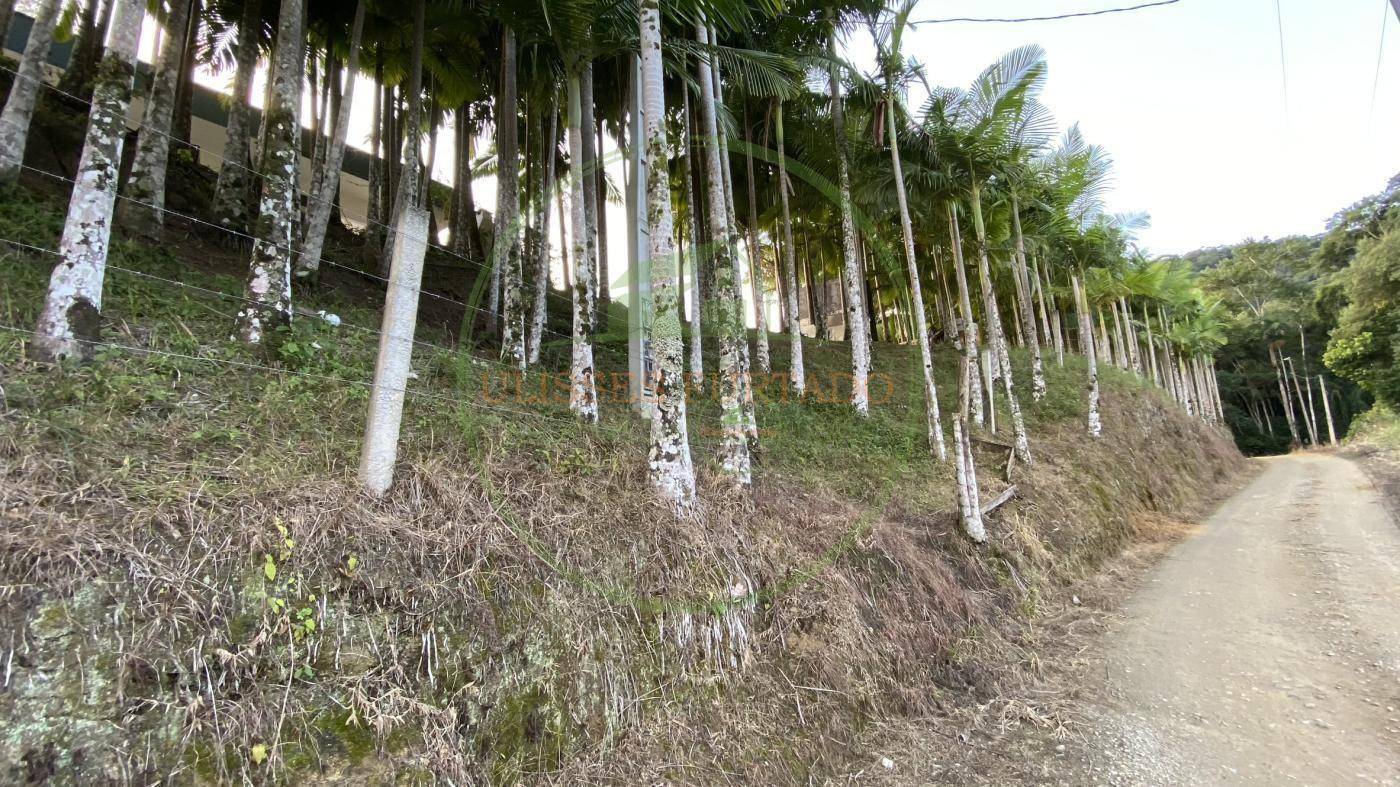 Sítio, 20 m² - Foto 41