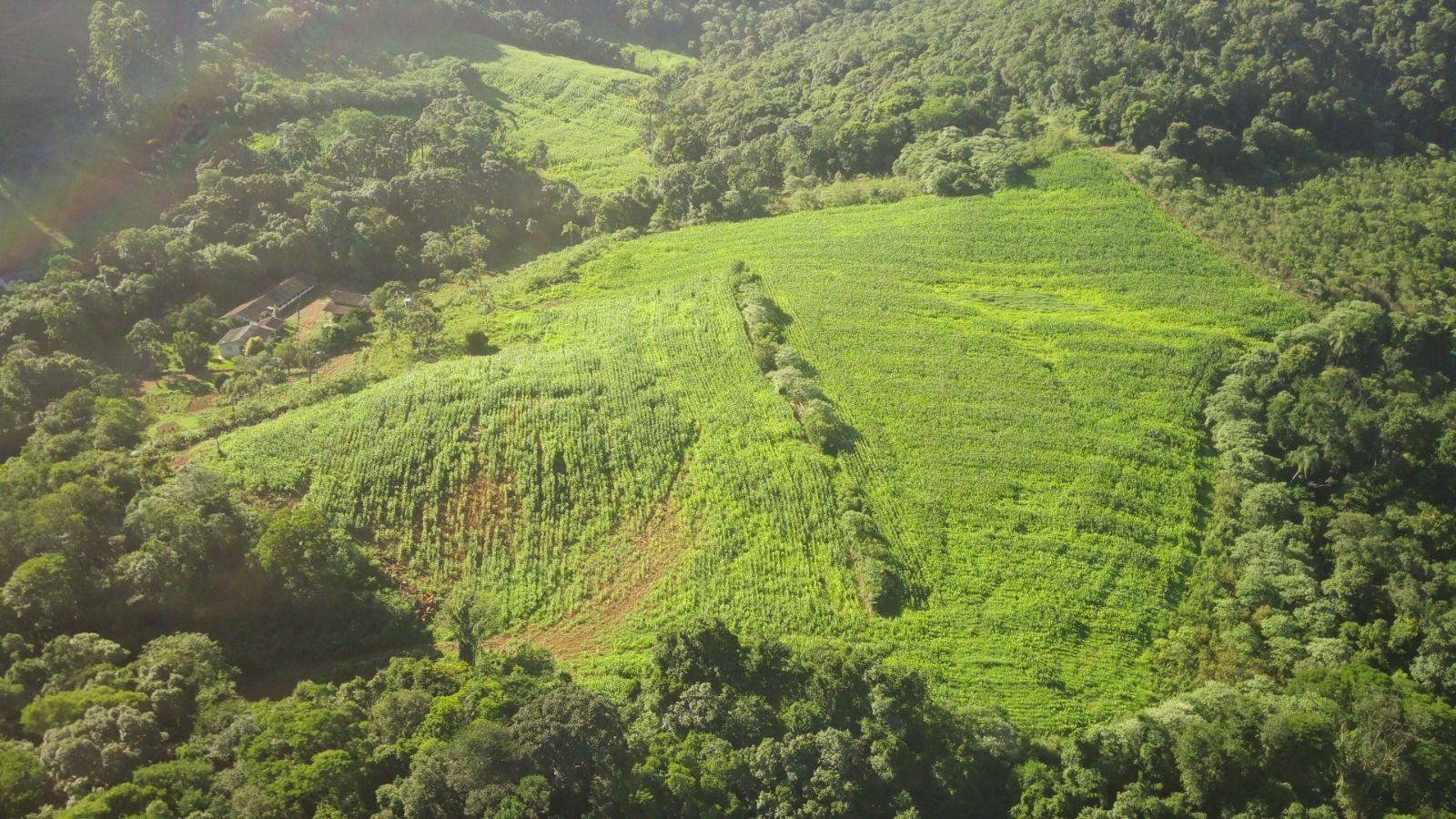 Loteamento e Condomínio à venda, 360000m² - Foto 4